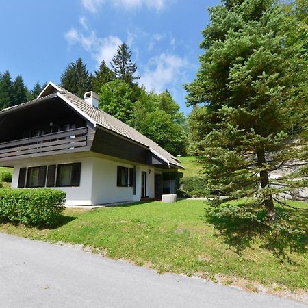 Holiday Home Davca سيركنو المظهر الخارجي الصورة