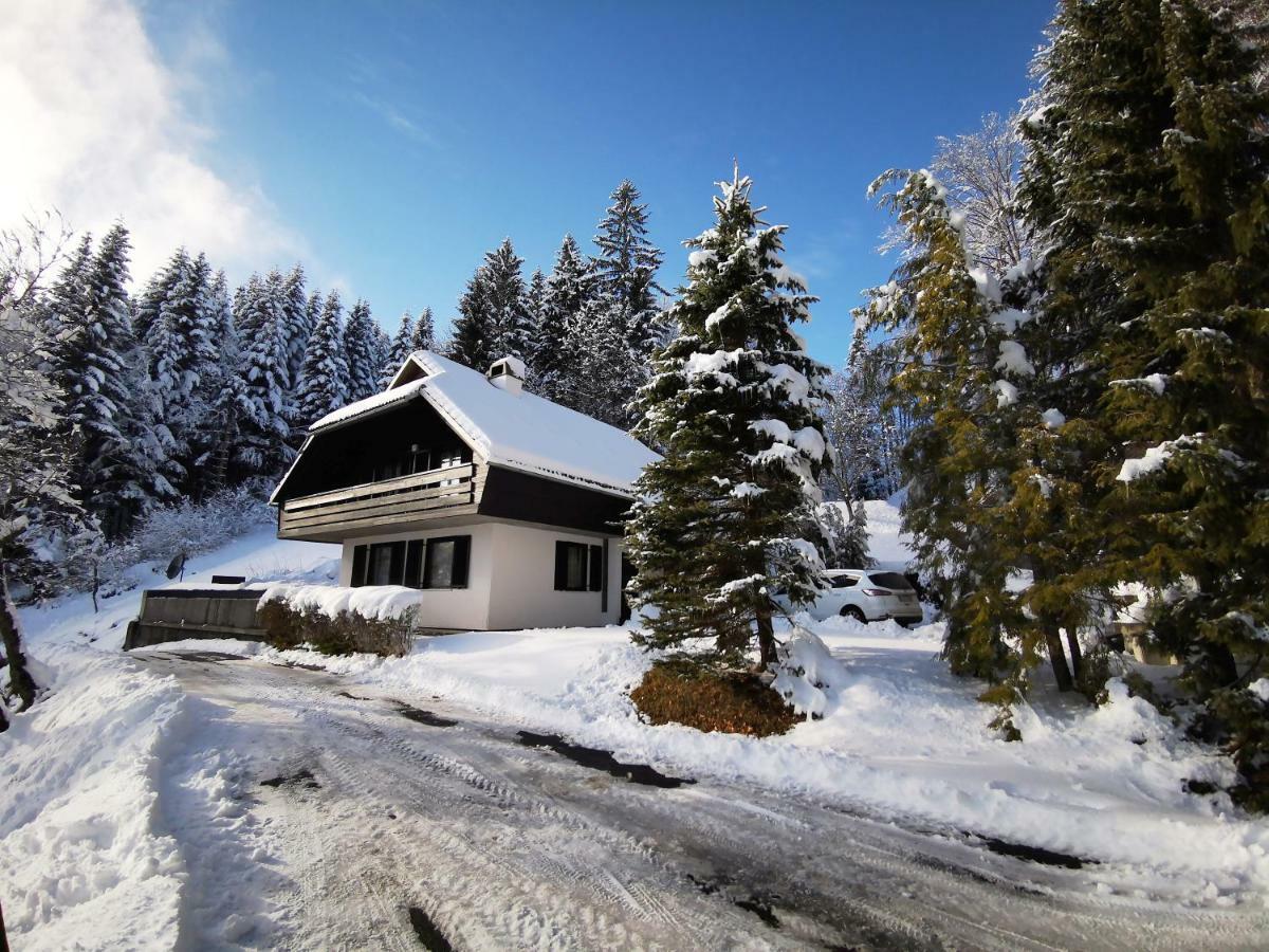 Holiday Home Davca سيركنو المظهر الخارجي الصورة